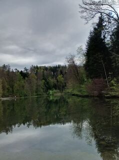Fotografija s spletne strani Andrea Escher na poti