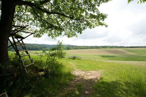 Erlebnispfad Steinbachtal Ronshausen