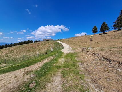 Fotografia z Gerhard Lechner 1 na trase