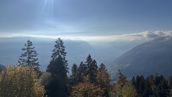 Foto da Dominik Willi lungo il tour