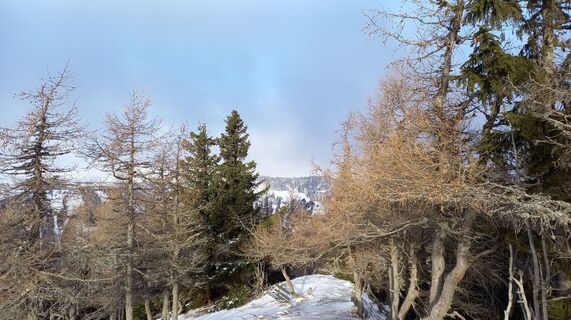Fotografia z Petra Ogrinigg na trase
