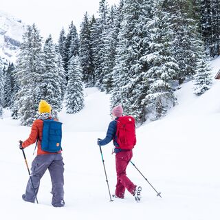 Winterwanderung im Toggenburg
