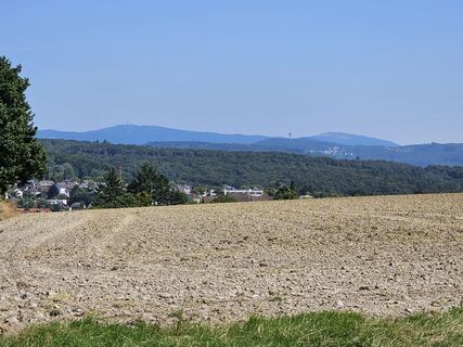 Foto da Blinki27 lungo il tour