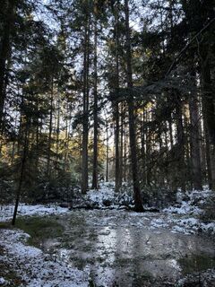 Fotografie z Georgiamartin0815 na trase