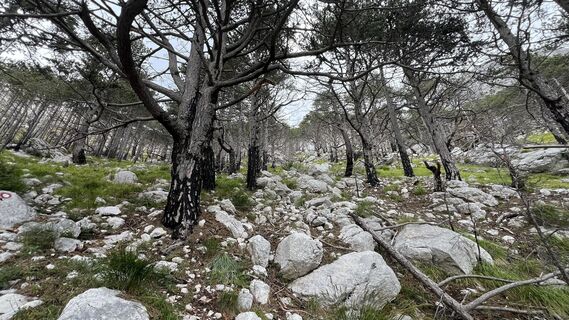 Fotografia z Едік Рейпашій na trase