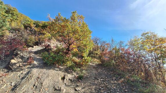 Fotografie z Regina Fleischmann na trase
