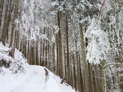 Kuva osoitteesta Aung Ritter matkan varrella