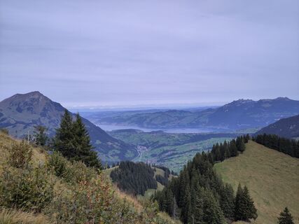 Foto von King Kong entlang der Tour