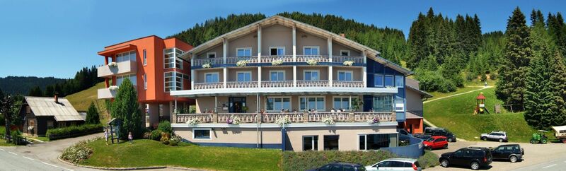 Hotel Alpengasthof Hochegger