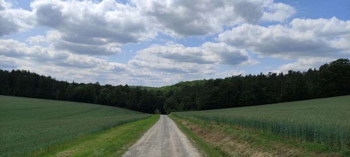 Foto von Fredi Oppel entlang der Tour