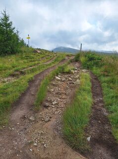 Foto von Dagmar Hofer entlang der Tour