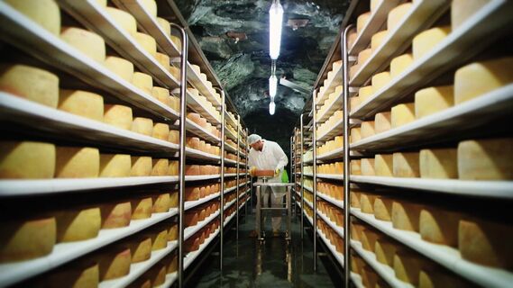 Almenland Stollenkäse in der Oststeiermark