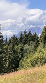 Foto von Christian Poms 1 entlang der Tour