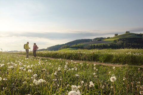 Wandern auf den Buckln bei Bad Schönau