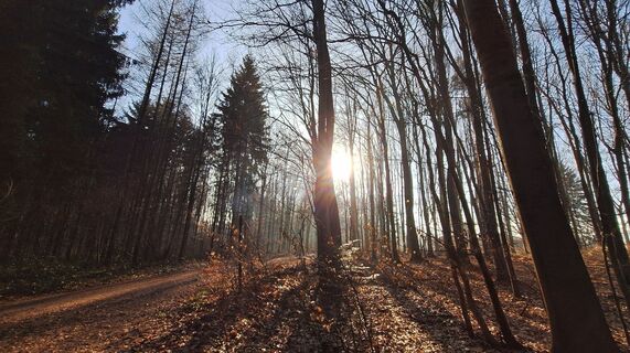 Zdjęcie z Regina Fleischmann wzdłuż trasy