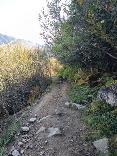 Photo de Bettina Miller 1 le long du parcours