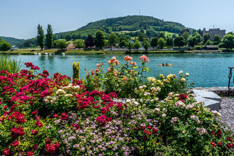Rhein bei Laufenburg