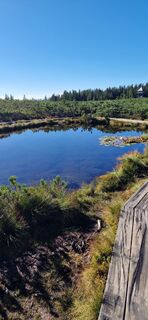 Foto von Roman Kramer entlang der Tour