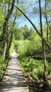 Photo de Adi Lechner le long du parcours