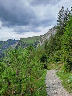 Fotografia z Greg+Lisa na trase