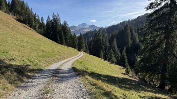 Photo de peter_oe le long du parcours