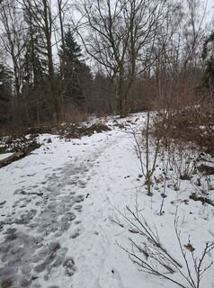 Foto de Felix Brandenburger a lo largo del recorrido