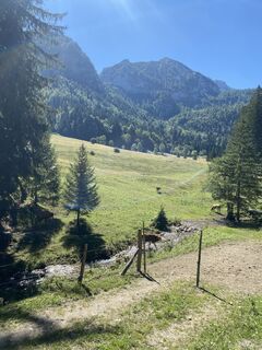 Foto von Sepp entlang der Tour