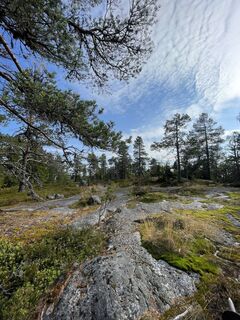 Fotografia z Nikolaus Ludwig 1 na trase
