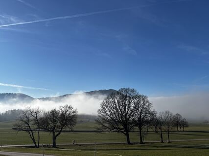 Foto von Susanne entlang der Tour