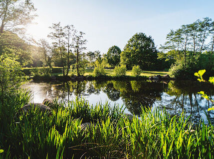 Walter Peters Park