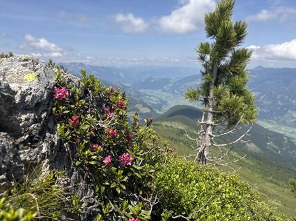 Foto von Matthias Opbacher entlang der Tour