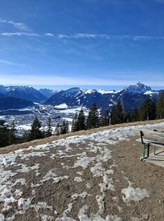 Foto de gottie a lo largo del recorrido