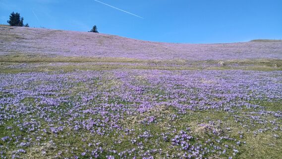 Foto von Davor Puklin entlang der Tour