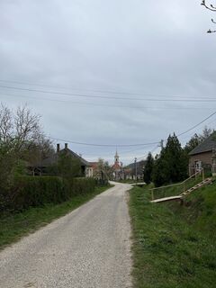 Fotografia z Levente Németh na trase