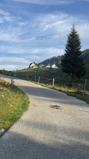 Fotografija s spletne strani cope na poti