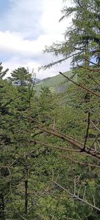 Foto von Bergpirat entlang der Tour