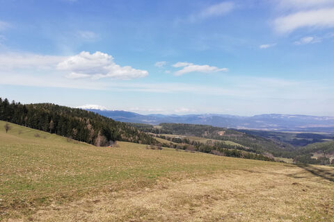 Blick vom Kapellenweg ins Steinfeld