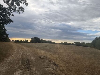 Photo de Reti Alicia le long du parcours