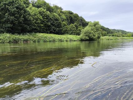 Photo de Kamikachu le long du parcours
