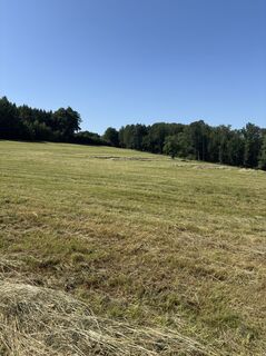 Photo de Michael Kogler le long du parcours