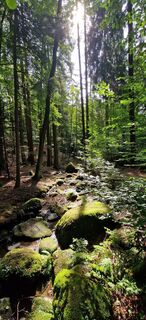 Foto von Zsuzsa Szàntó entlang der Tour