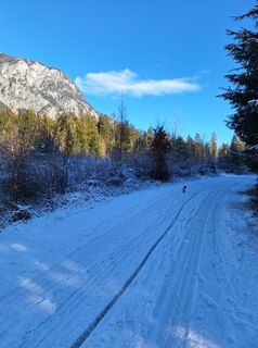 Fotografia z Dagmar Hofer na trase