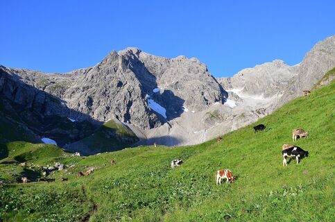 Auf der hinteren Fellealpe