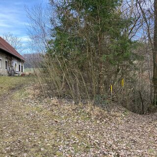 L1 Dürnbachtrails