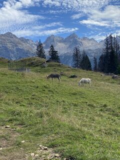 Foto fra Gianberto Zilli undervejs på turen