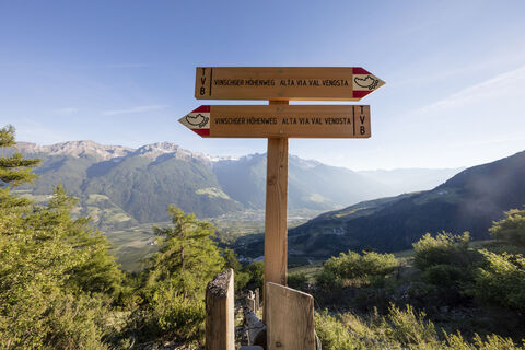 Suedtirol, Vinschgau, Vinschger Hoehenweg, südlich von Feilegg,