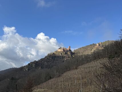 Photo de Elke Stamminger le long du parcours