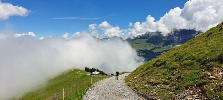 Photo de Henny Kroesbergen le long du parcours