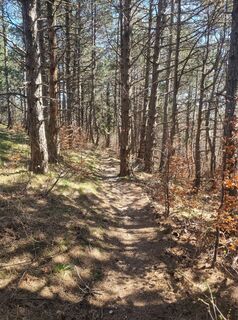 Фото с сайта Grizli во время экскурсии