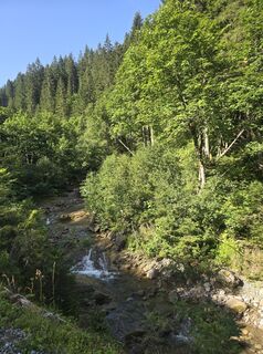 Photo de Anja Carraß le long du parcours
